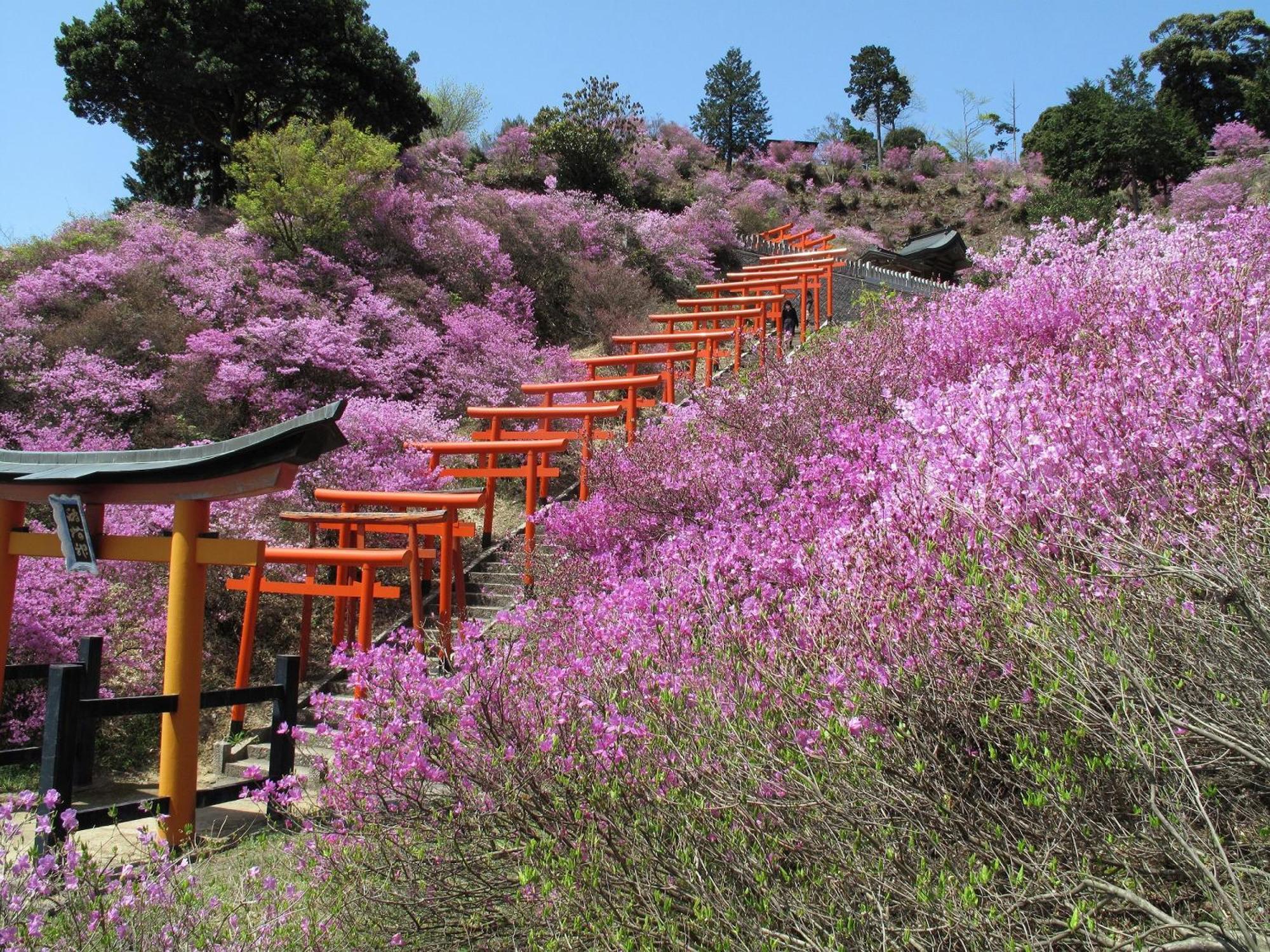 Mercure Kyoto Miyazu Resort & Spa Exterior foto